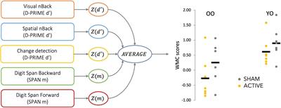 Older adults with lower working memory capacity benefit from transcranial direct current stimulation when combined with working memory training: A preliminary study